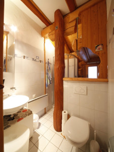 Badezimmer mit Dusche